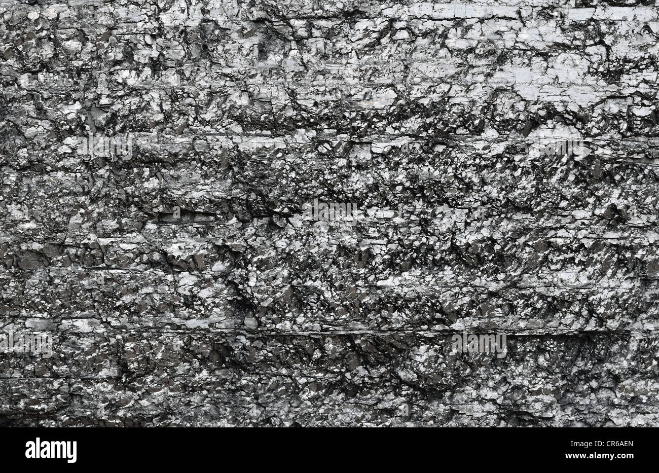 Close-up of black fossil coal surface Stock Photo