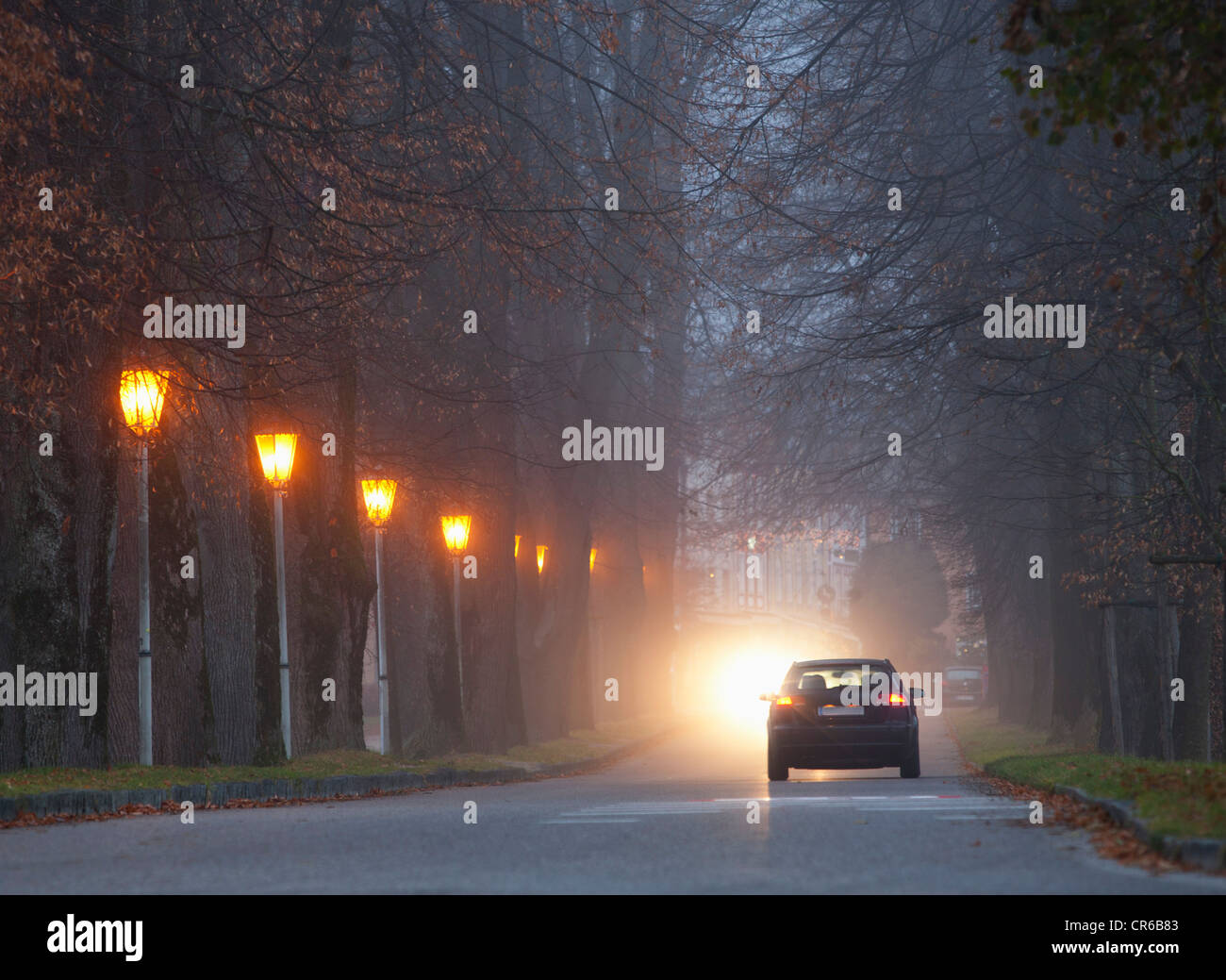 Austria, Car passing through road in foggy morning Stock Photo