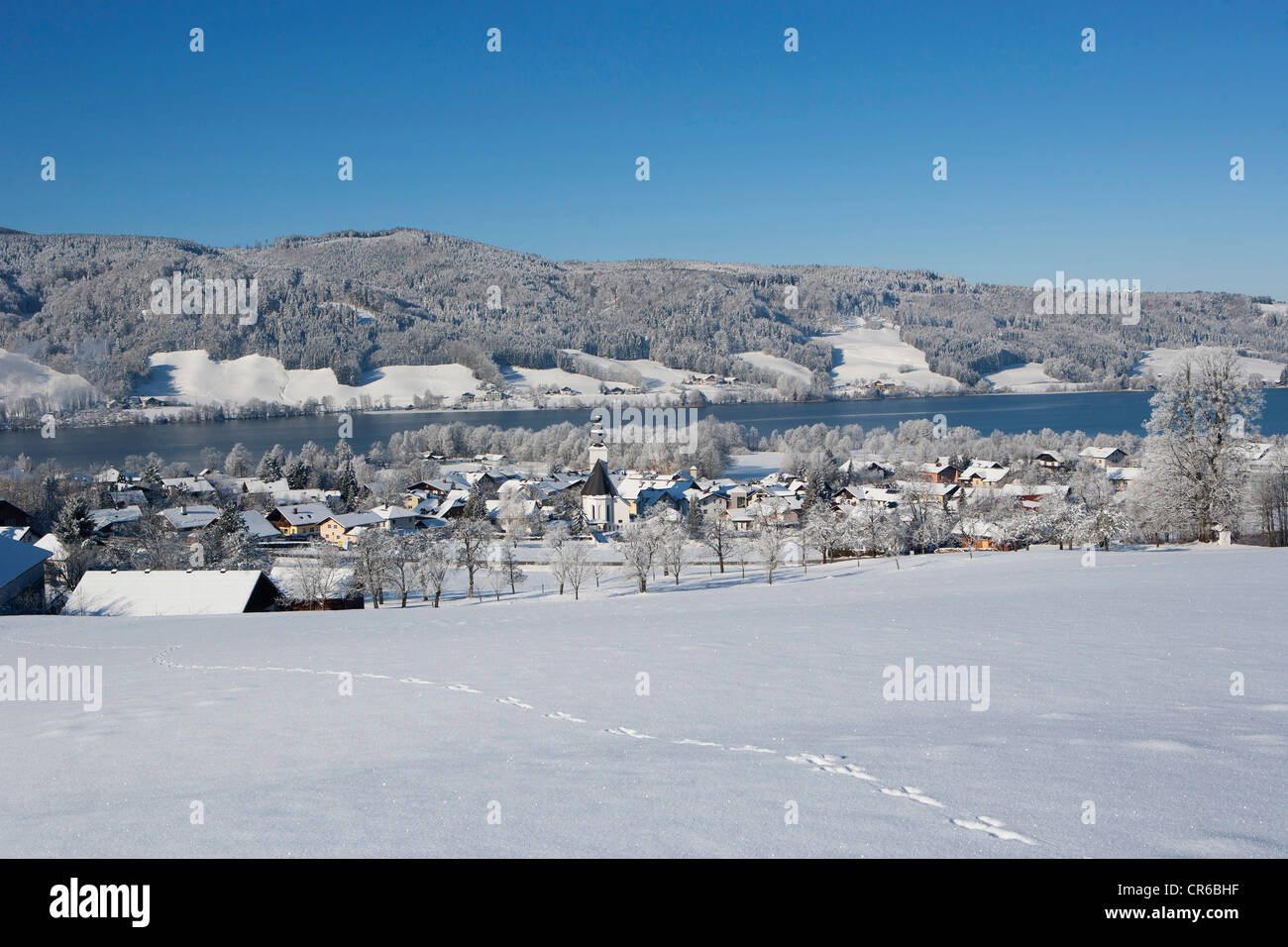 Austria, View of Zell am Moos with Irrsee Lake in background Stock Photo