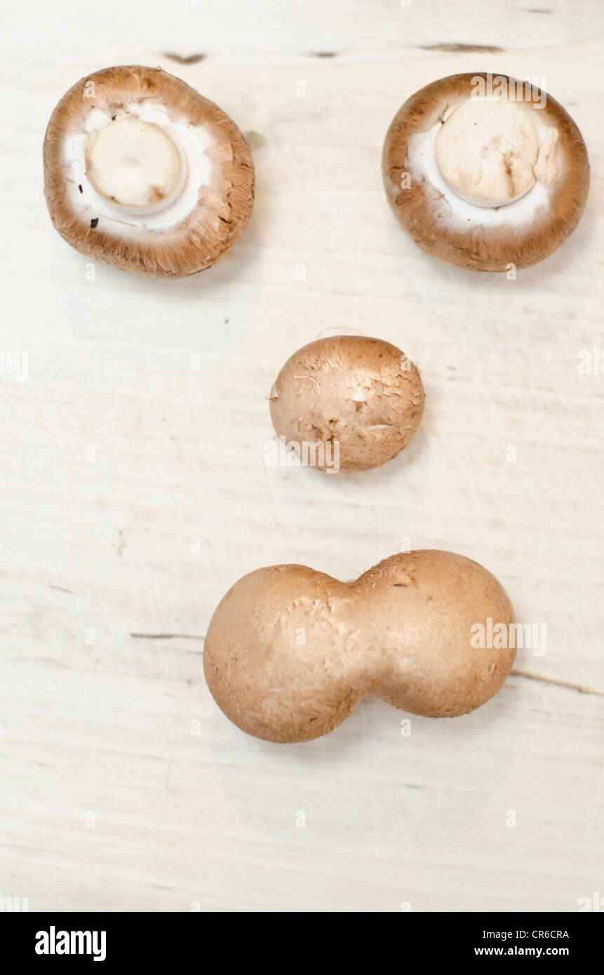 Autocollant champignon champignon sur fond blanc Image Vectorielle Stock -  Alamy