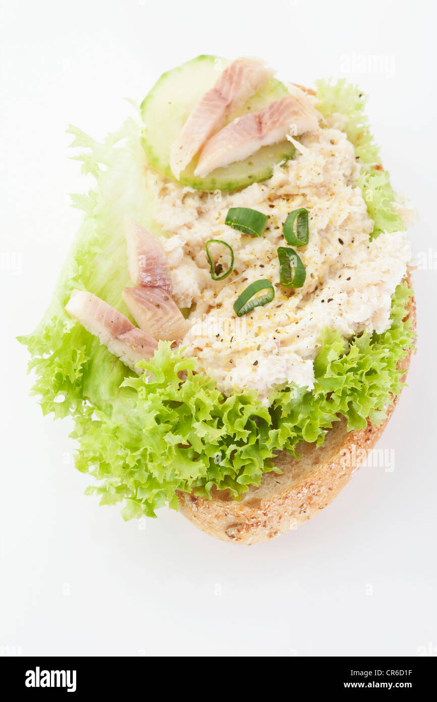 Trout fillet tartar sandwich on white background, close up Stock Photo