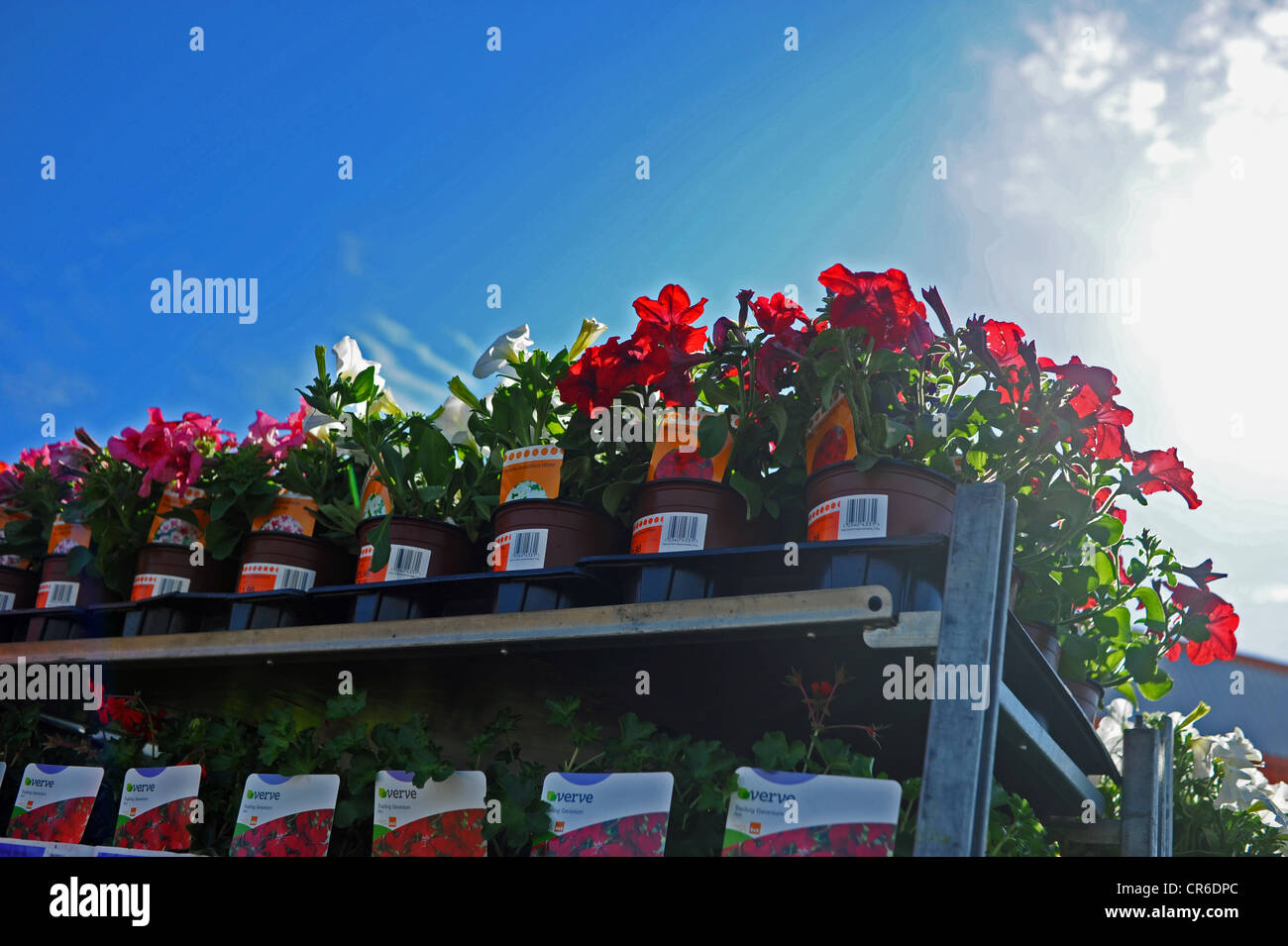 B&q trolley hi-res stock photography and images - Alamy