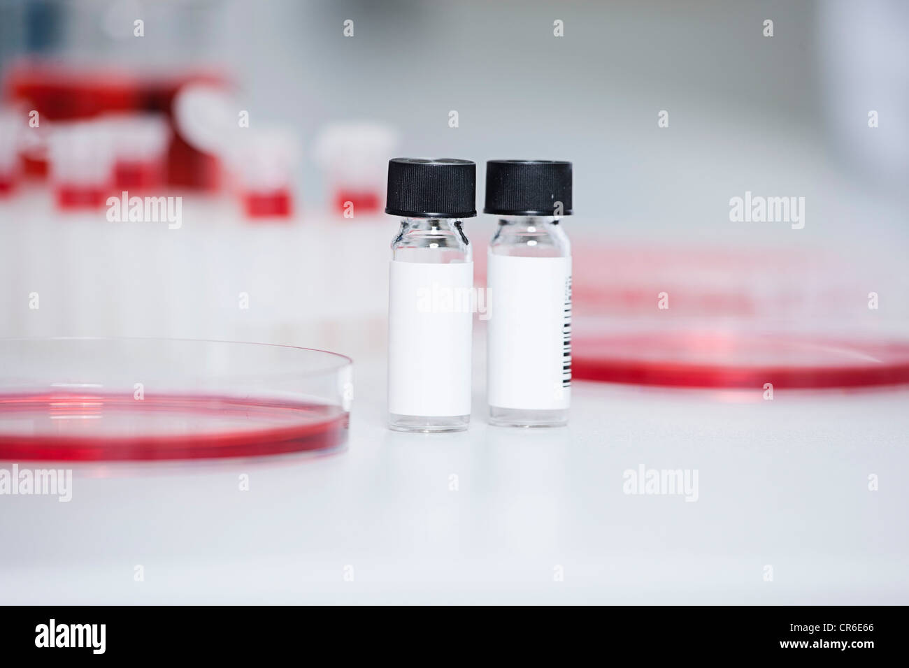 Germany, Bavaria, Munich, Test tubes and petri dishes for medical research in laboratory Stock Photo