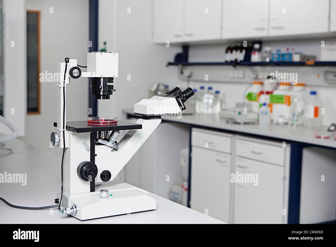 Germany, Bavaria, Munich, Microscope with petri dish in laboratory for medical research Stock Photo