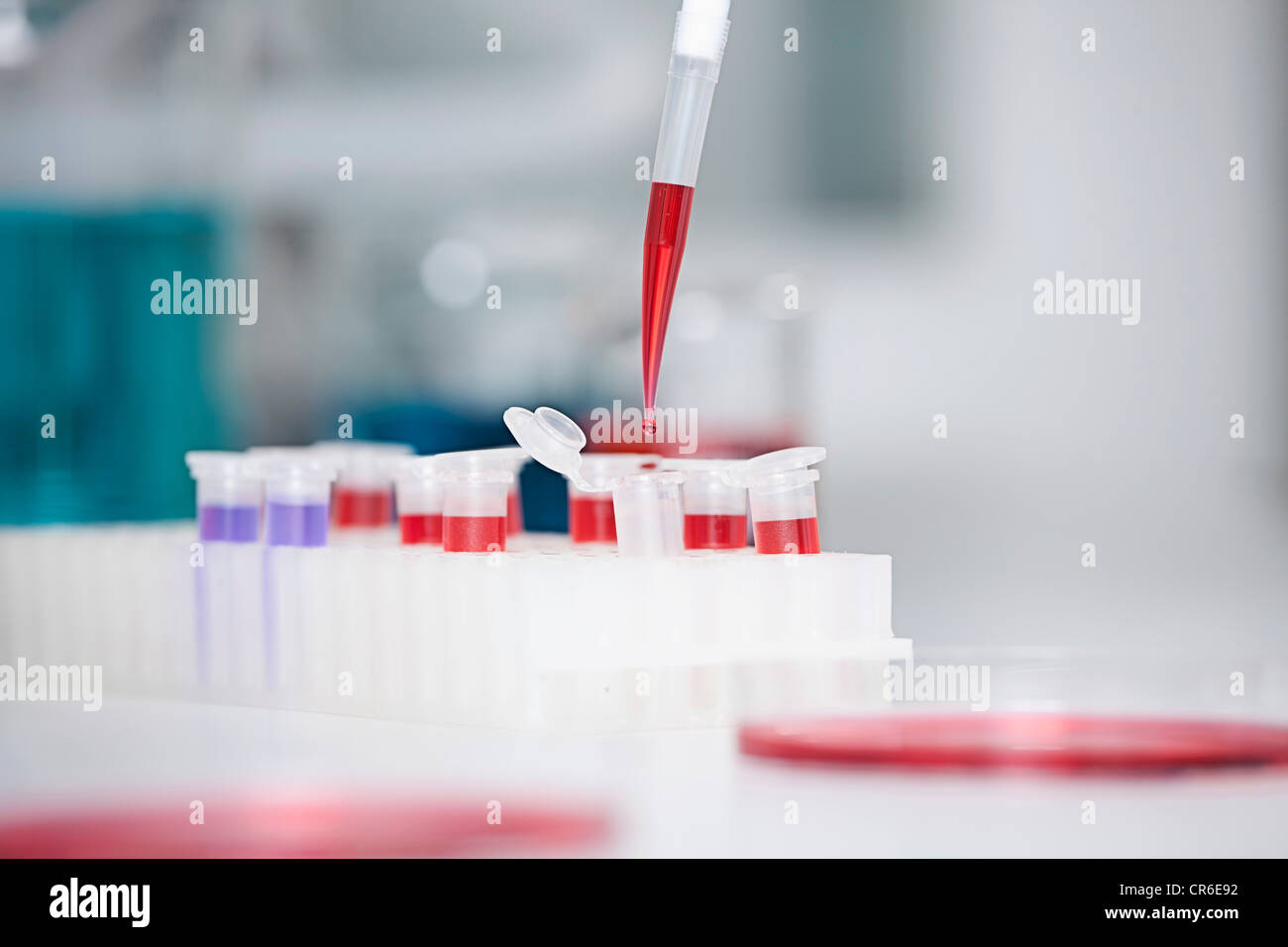 Germany, Bavaria, Munich, Pipette pouring liquid into test tubes for medical research Stock Photo