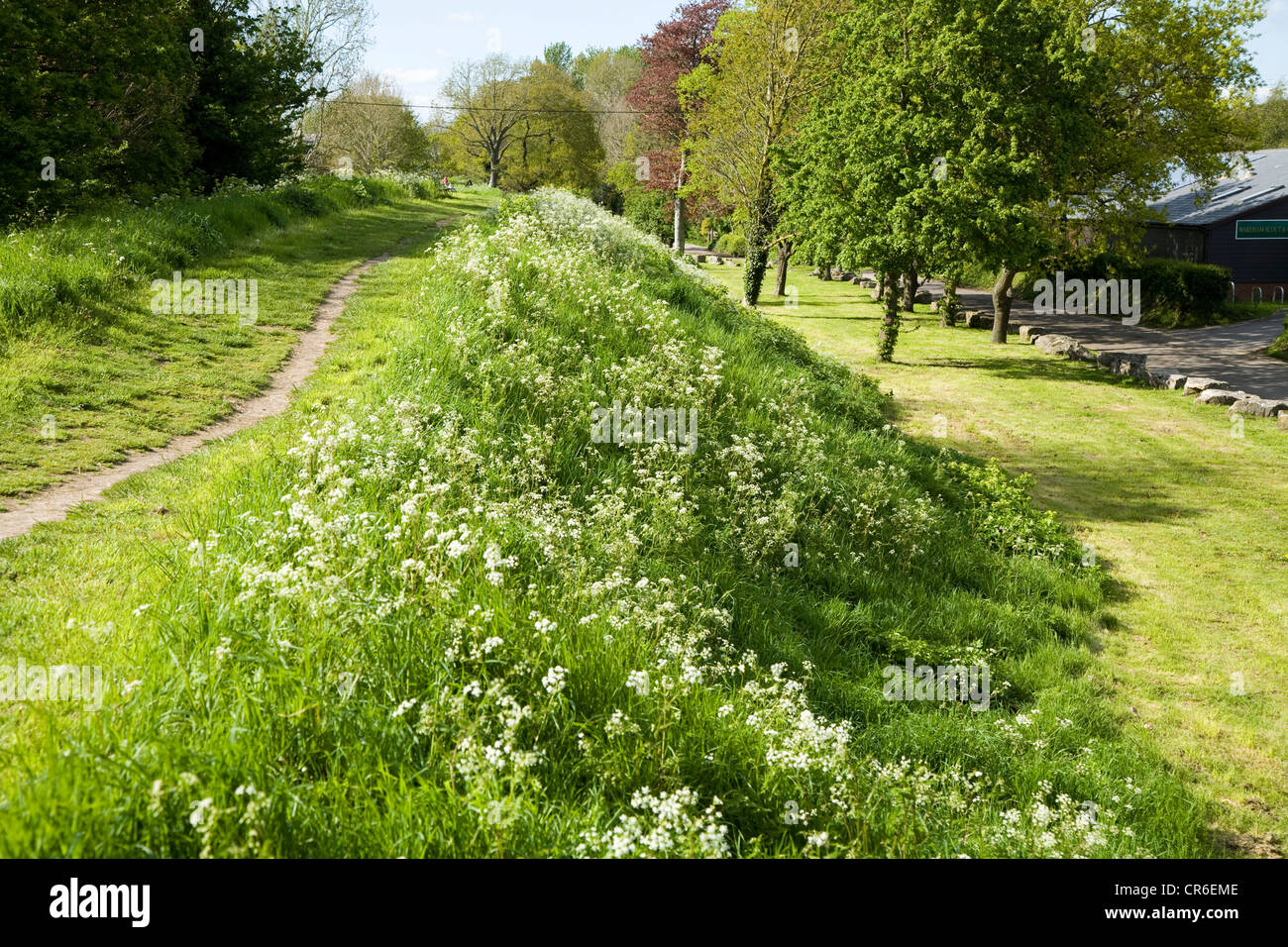 Ancient Saxon old town walls burh on the East side of Wareham in
