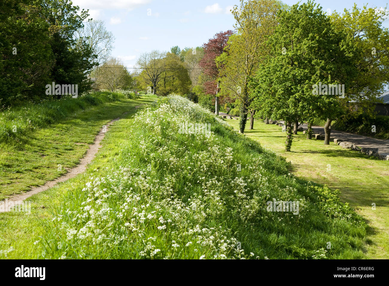 Ancient Saxon old town walls – burh – on the East side of Wareham in Dorset, UK. Stock Photo