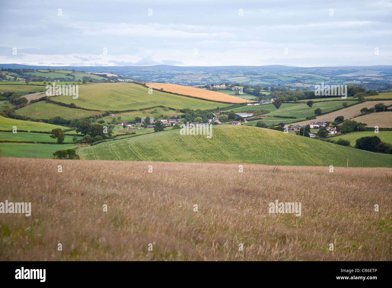 South Devon landscape near Totnes Devon, England United Kingdom Stock ...
