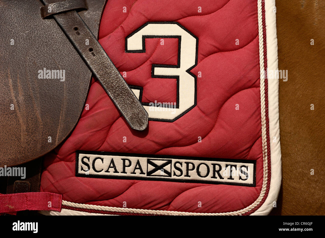 Red saddle blanket with embroidery, Scapa Sports, number 3, Airport Arena Polo Event 2010, Munich, Upper Bavaria, Bavaria Stock Photo