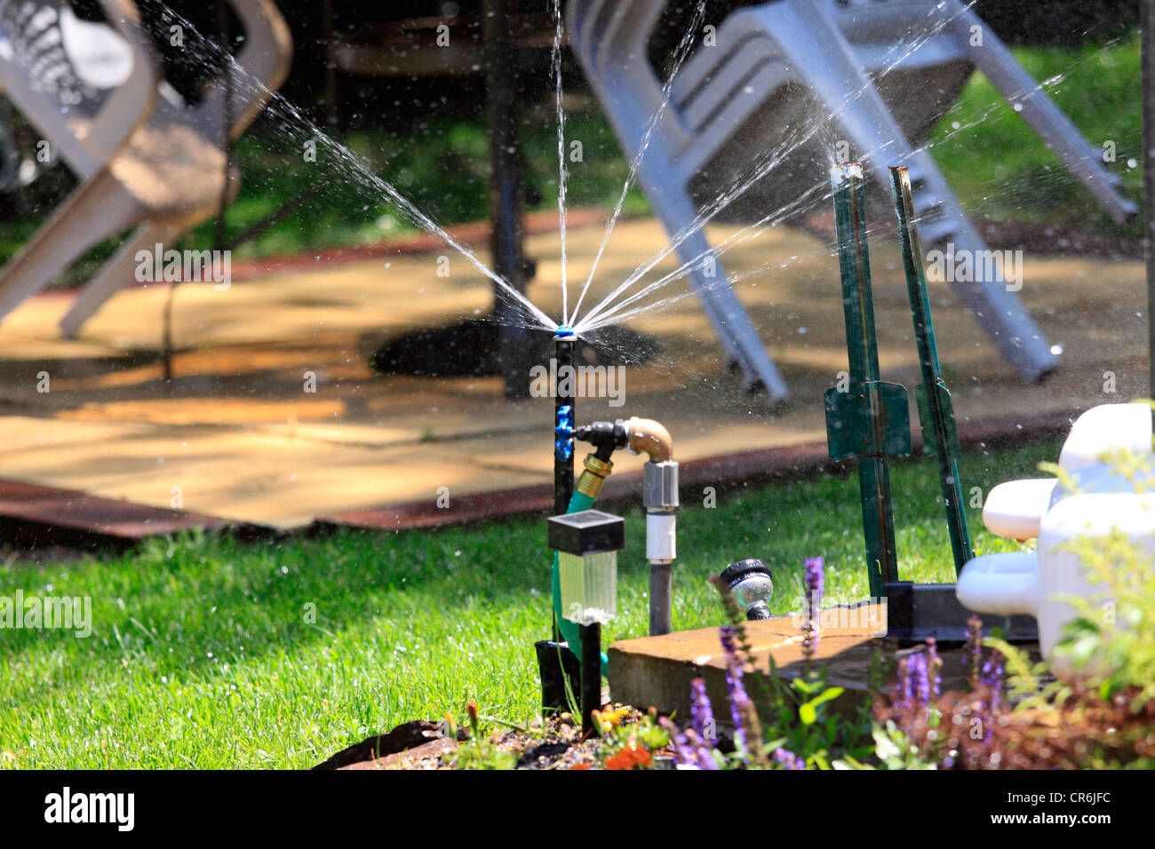 Sprinkler in backyard of suburban home Long Island NY Stock Photo Alamy
