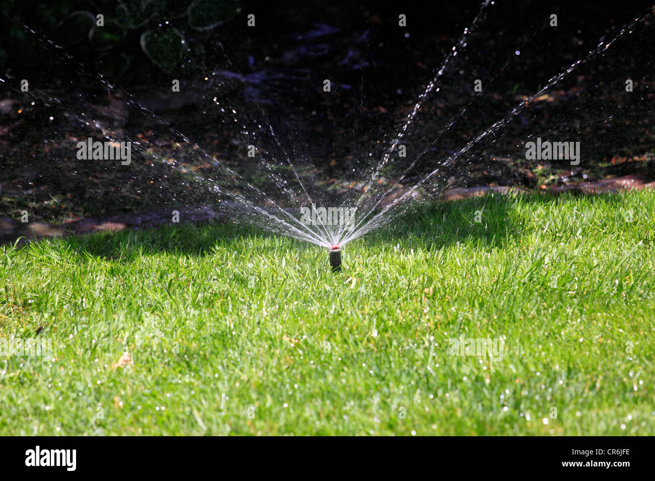 In ground pop up lawn sprinkler in suburban backyard Long Island NY