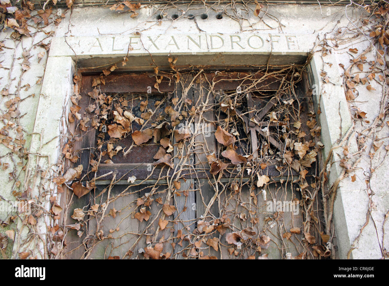 Close up details of an old memorial door covered with ivy. West Norwood Cemetery. London Stock Photo