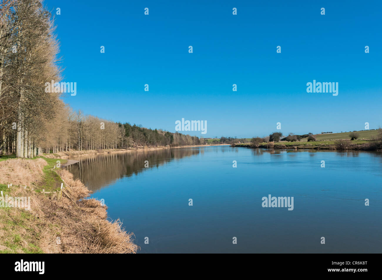 River Tweed Paxton House Scottish Borders Scotland Stock Photo Alamy