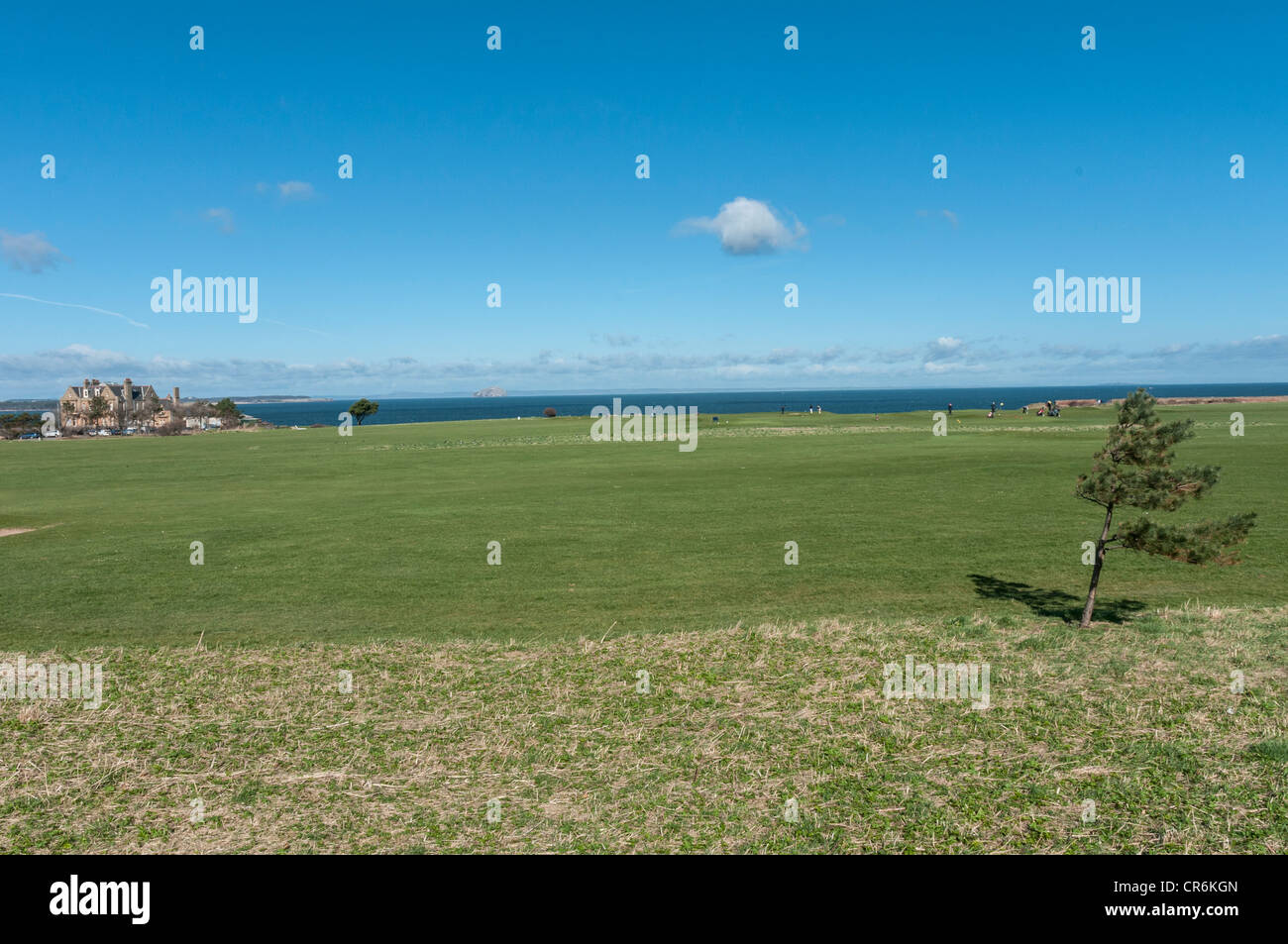 Winterfield Golf Course  Dunbar with Belhaven Bay and Bass Rock in background East Lothian Scotland Stock Photo