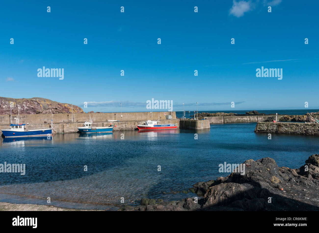 Fishing boats at ST Abbs Harbour Scottish Borders Scotland with Mute