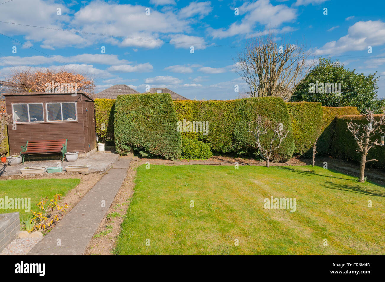 Suburban garden Milngavie East Dunbartonshire Scotland with lawn and garden shed Stock Photo