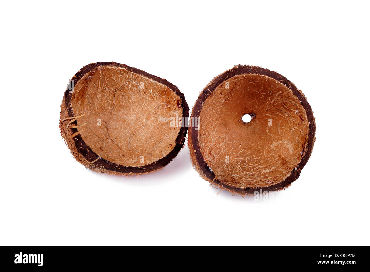 The shell of a coconut isolated on white background Stock Photo