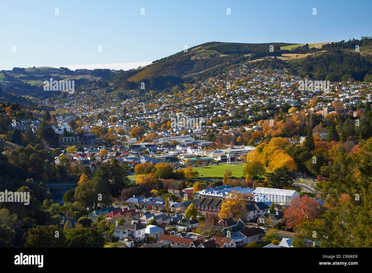 The Gardens and North East Valley in autumn, Dunedin, South Island, New Zealand Stock Photo