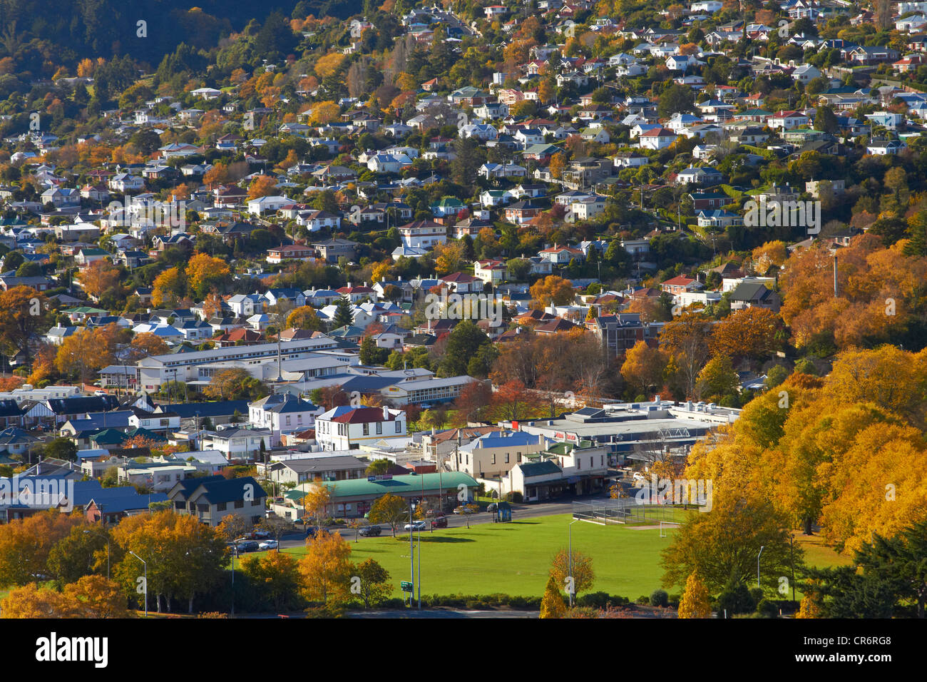 The Gardens and North East Valley in autumn, Dunedin, South Island, New
