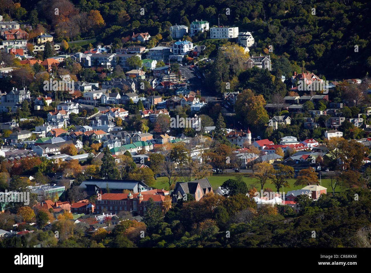 Student flats, North Dunedin, Dunedin, South Island, New Zealand Stock