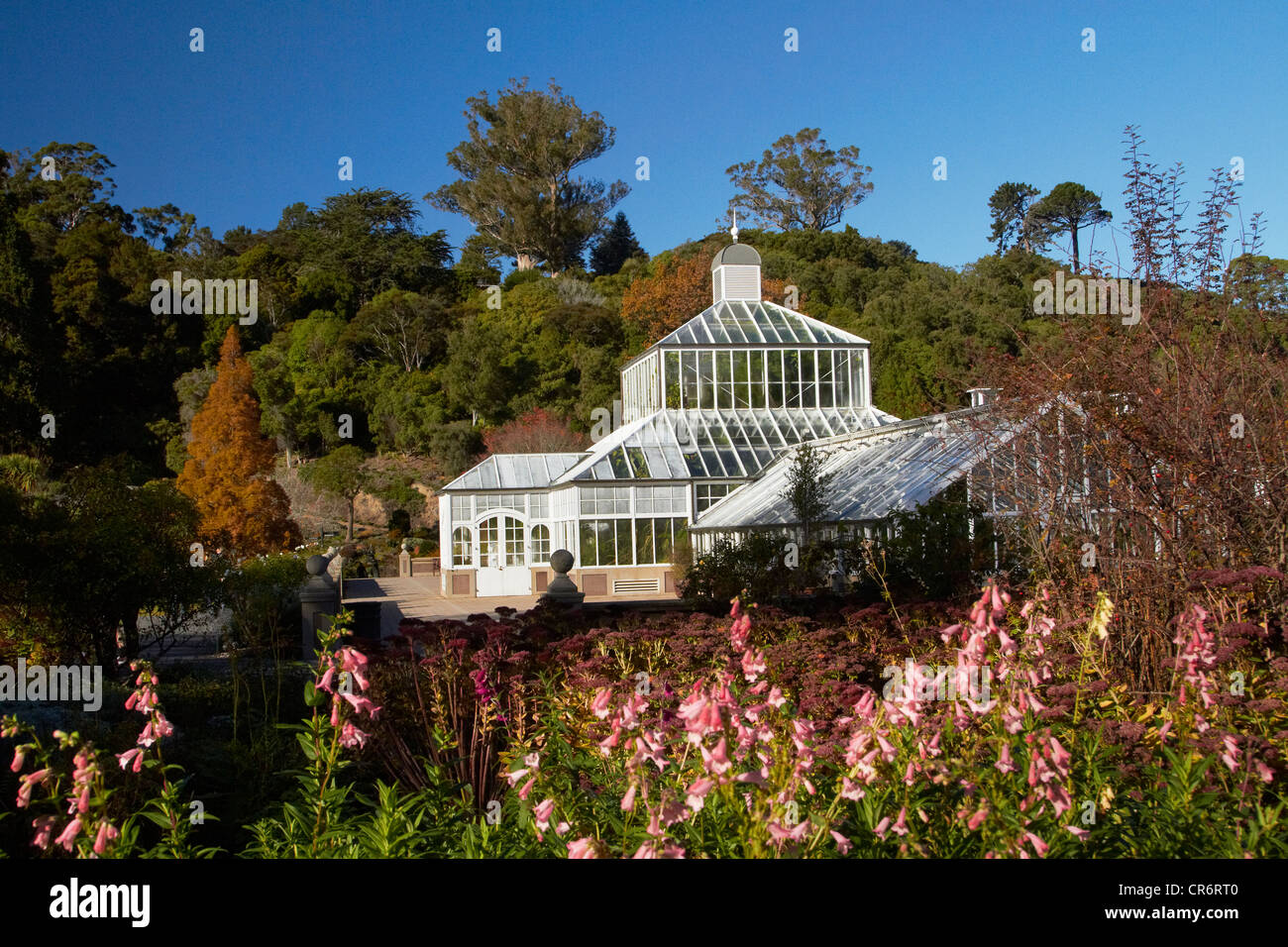 Dunedin botanic gardens hires stock photography and images Alamy