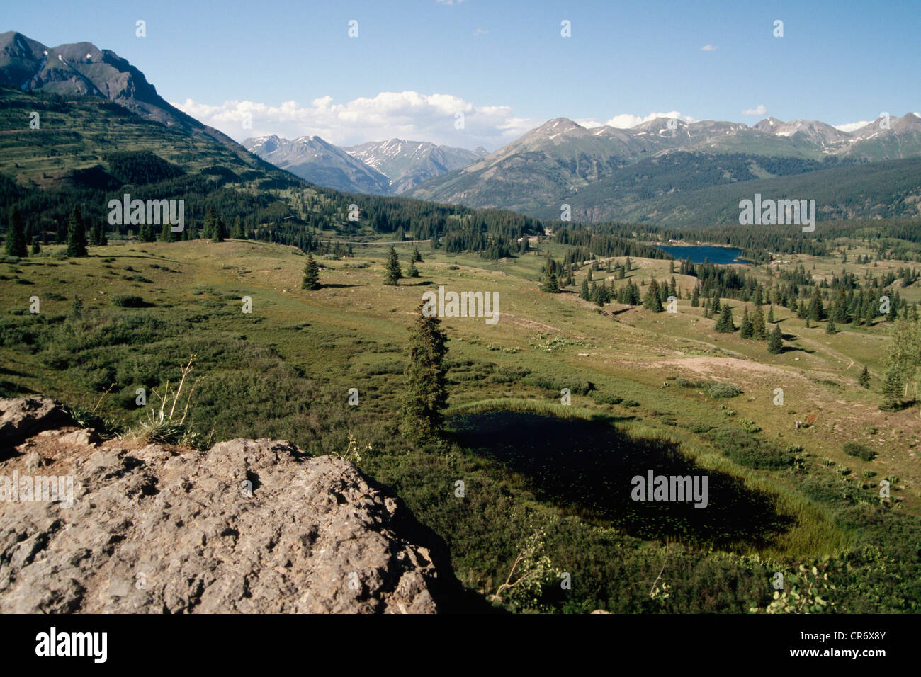 High Angle View of an Alpine Meadow, Molas Pass, San Juan Mountains, Colorado, USA Stock Photo