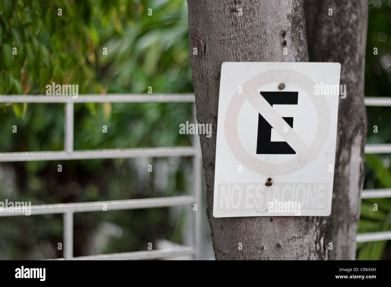 sun discolored no parking traffic sign Stock Photo