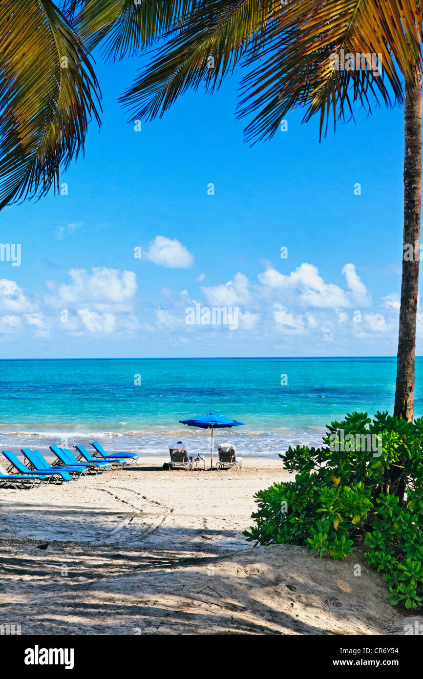 Lounge Chairs on a Beach, Isla Verde, Puerto Rico Stock Photo