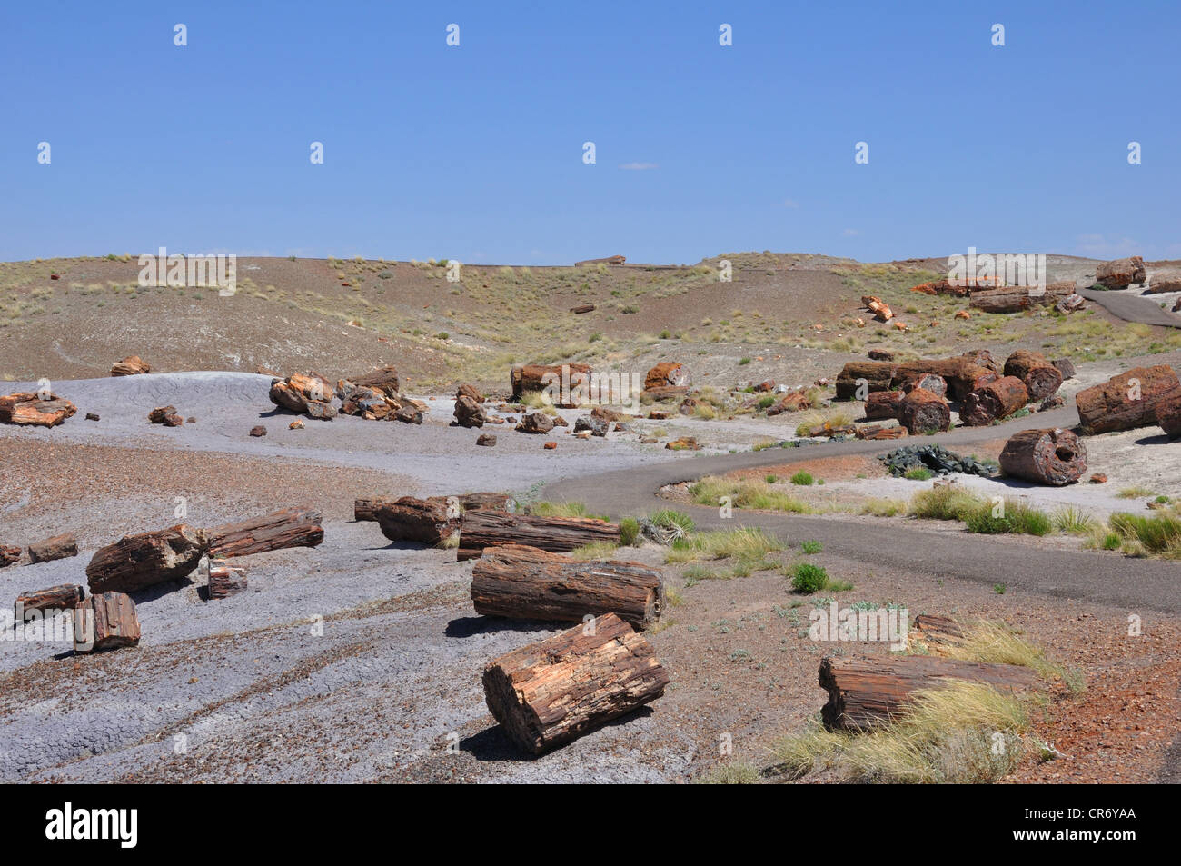 Petrified Forest National Park, Arizona, USA Stock Photo