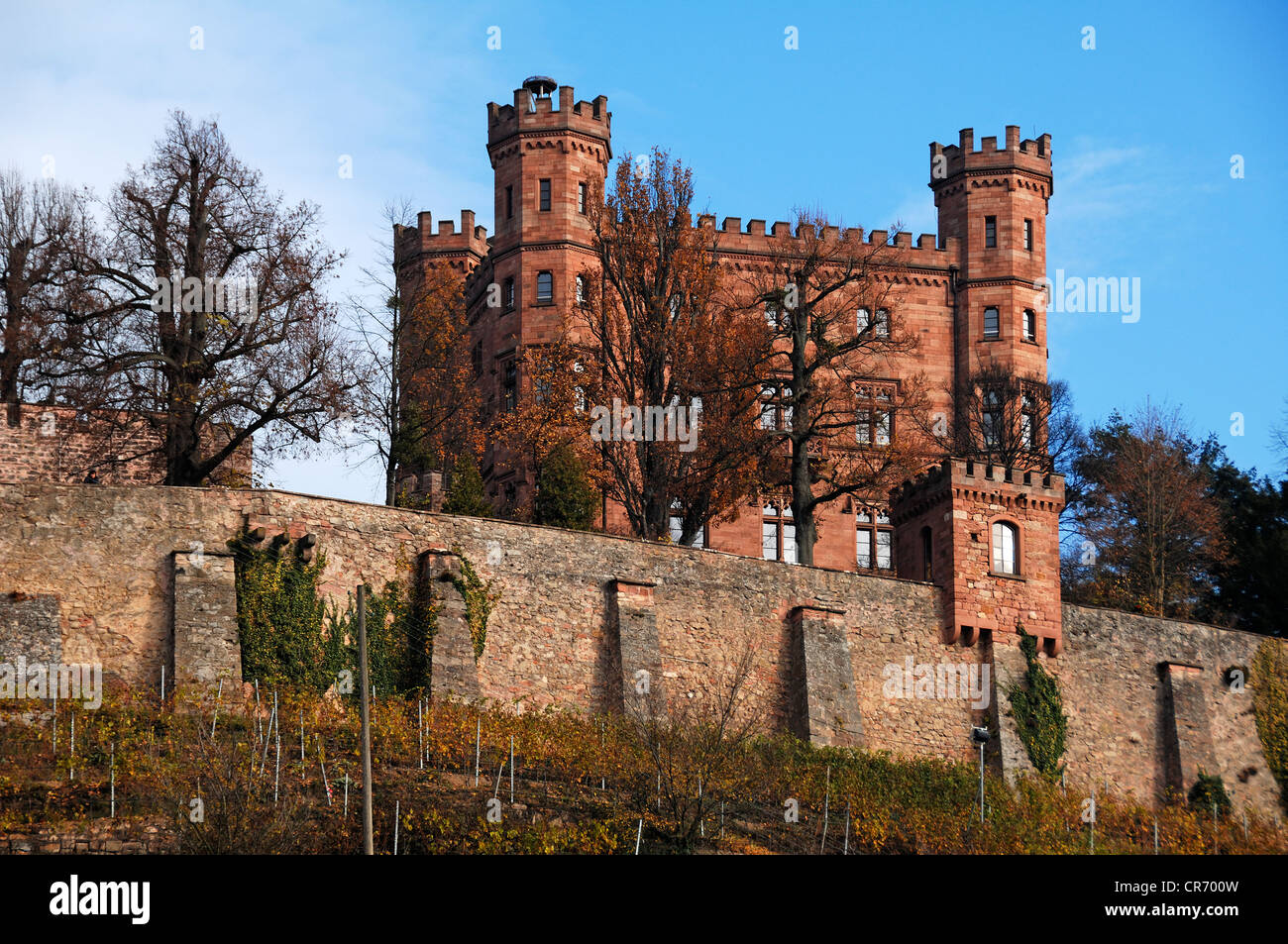 Schloss Ortenberg castle, present castle was built 1838-1843 by Baron Gabriel Leonhard von Berckholtz Stock Photo