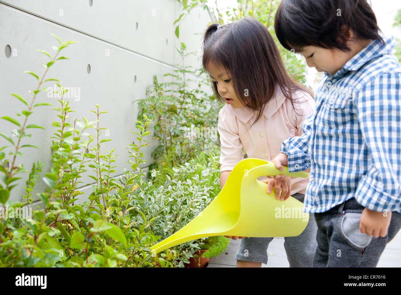 Girl and boy watering plants hi-res stock photography and images - Alamy