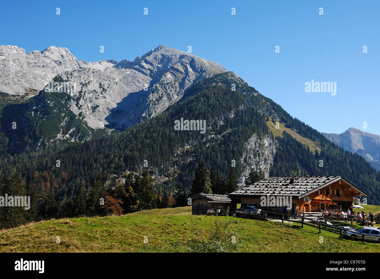 Litzlalm, alp, with restaurant, 1300m, Mt Reiteralpe at back, Zell am See, Austria, Europe Stock Photo
