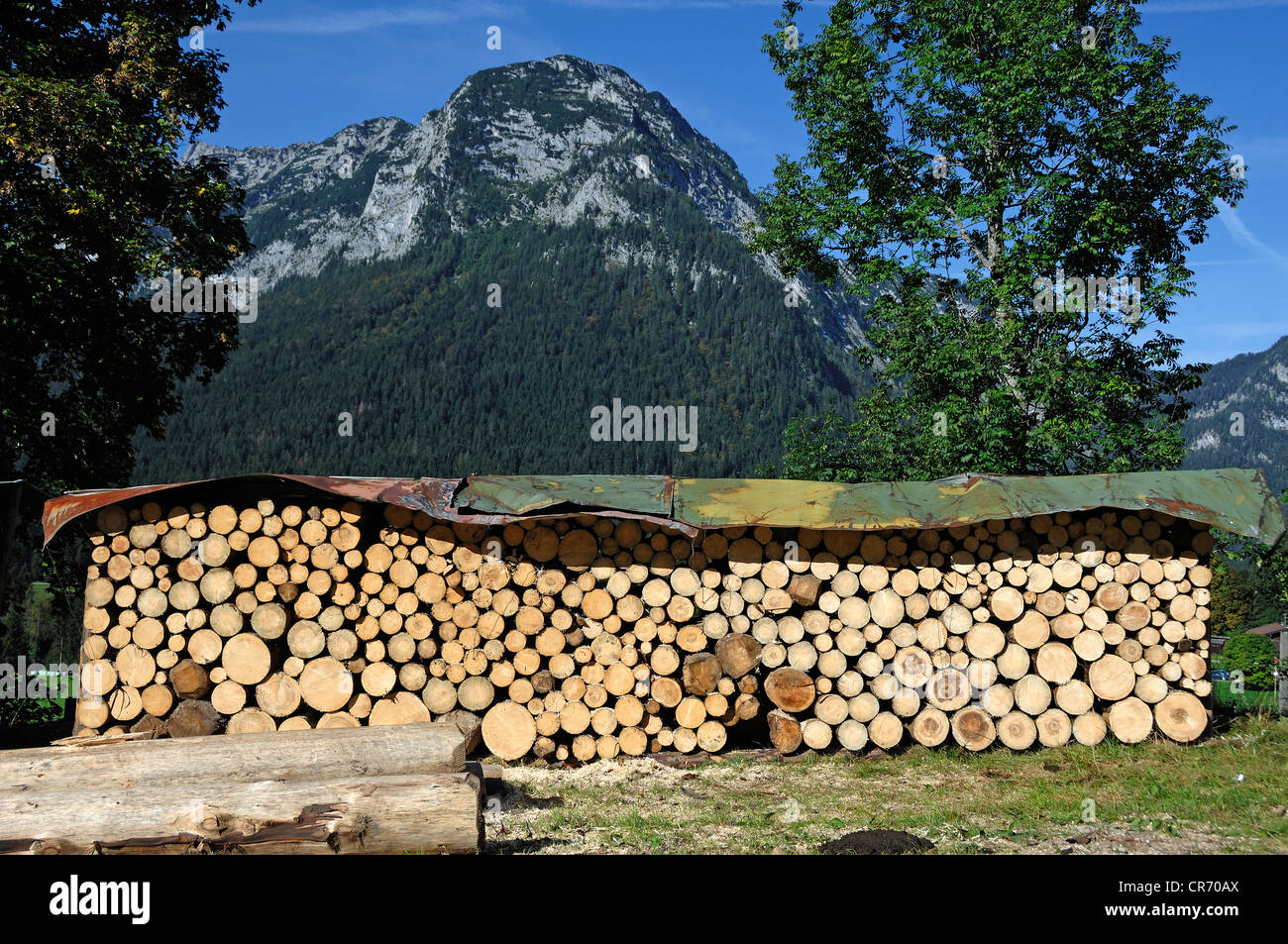 Sawn logs, 1 metre, covered and stacked, Mt Reiteralpe at back, Ramsau, Upper Bavaria, Bavaria, Germany, Europe Stock Photo