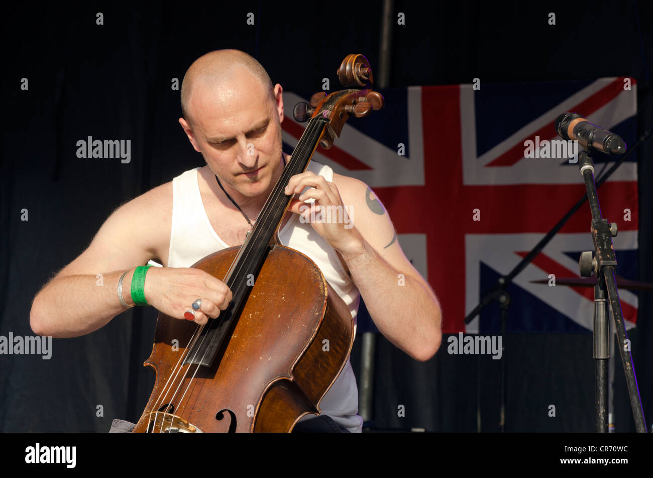 Plucked cello cheap