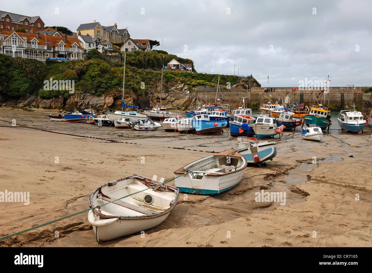 Fishing boats at low tide in the port of Newquay, Cornwall, England
