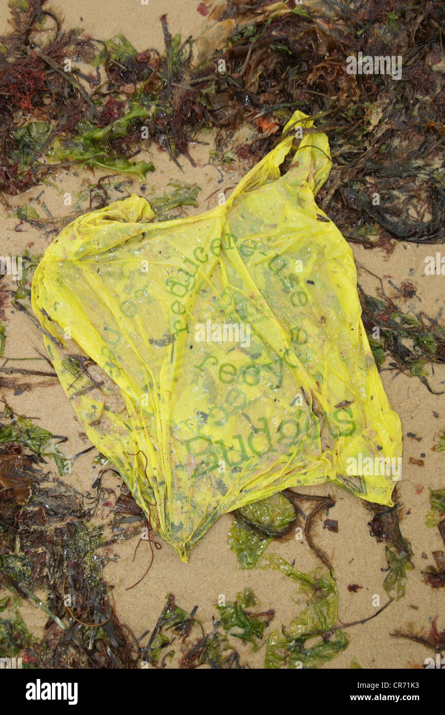 Plastic carrier bag on beach strandline, Studland Dorset, May. Stock Photo