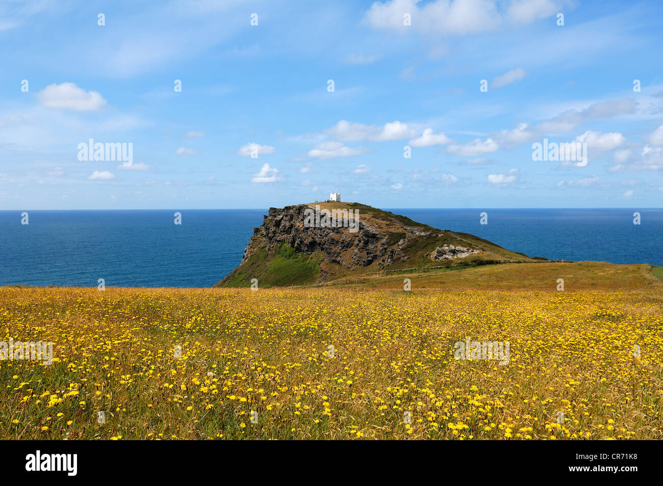 Rugged cliffs on the coast near Boscastle, National Coastwatch observation tower at the back, flowering meadow at the front Stock Photo