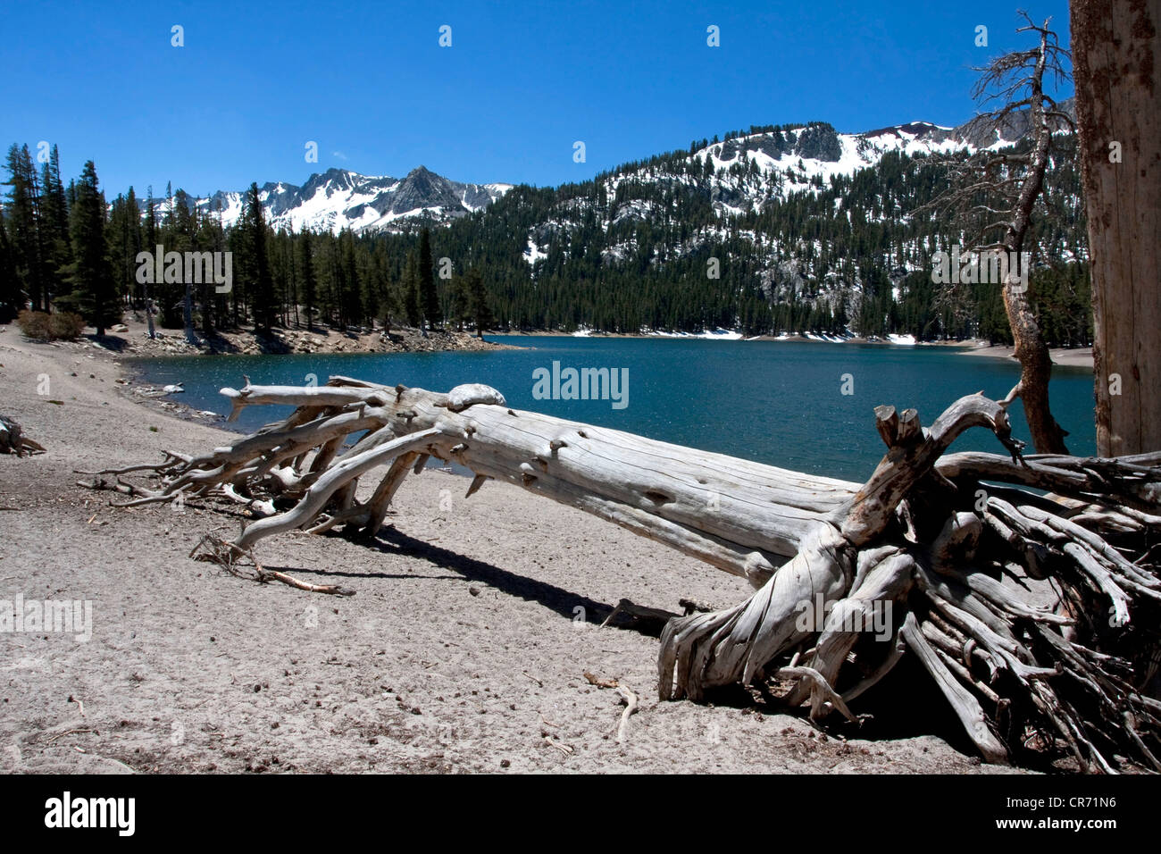 Scenic view of Horseshoe Lake, near Mammoth Lakes, California, USA in
