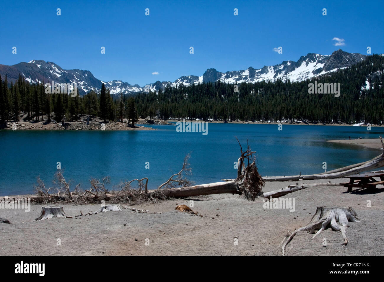Scenic view of Horseshoe Lake, near Mammoth Lakes, California, USA in