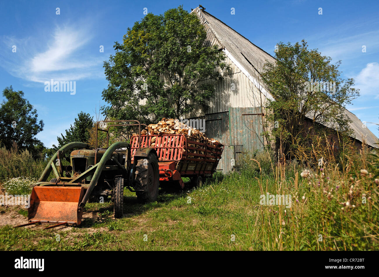 Old tractor with split timber on the loaded wagen, Othenstorf, Mecklenburg-Western Pomerania, Germany, Europe Stock Photo
