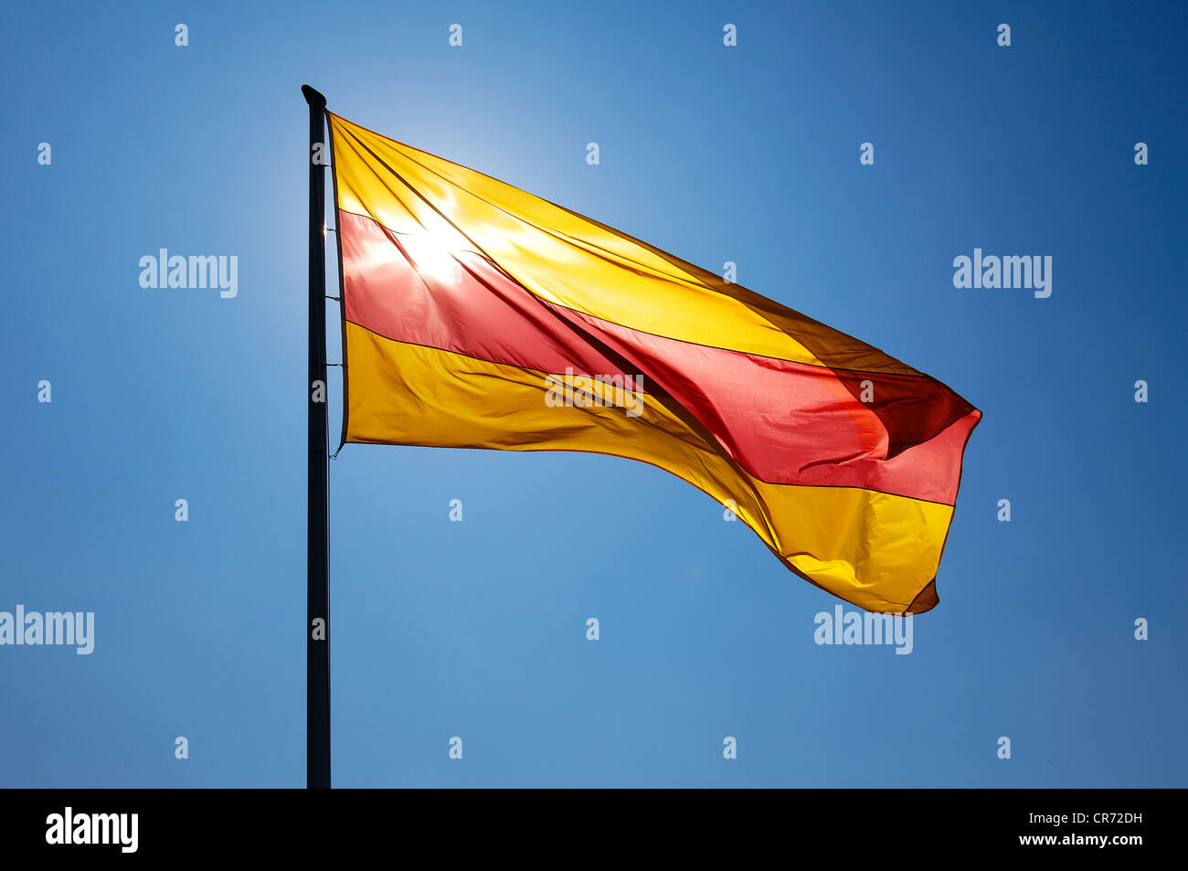 State flag of Baden-Wuerttemberg, backlit, contre jour, Durbach, Baden-Wuerttemberg, Germany, Europe Stock Photo