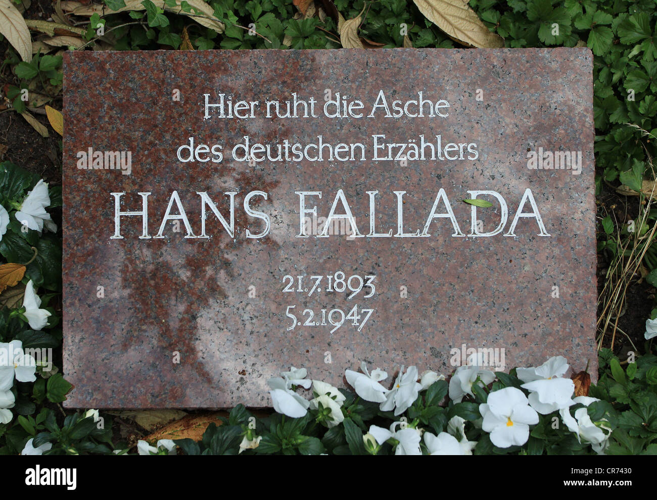 Tombstone at the urn grave of the famous German writer Hans Fallada in the cemetery in Carwitz, Germany. Stock Photo