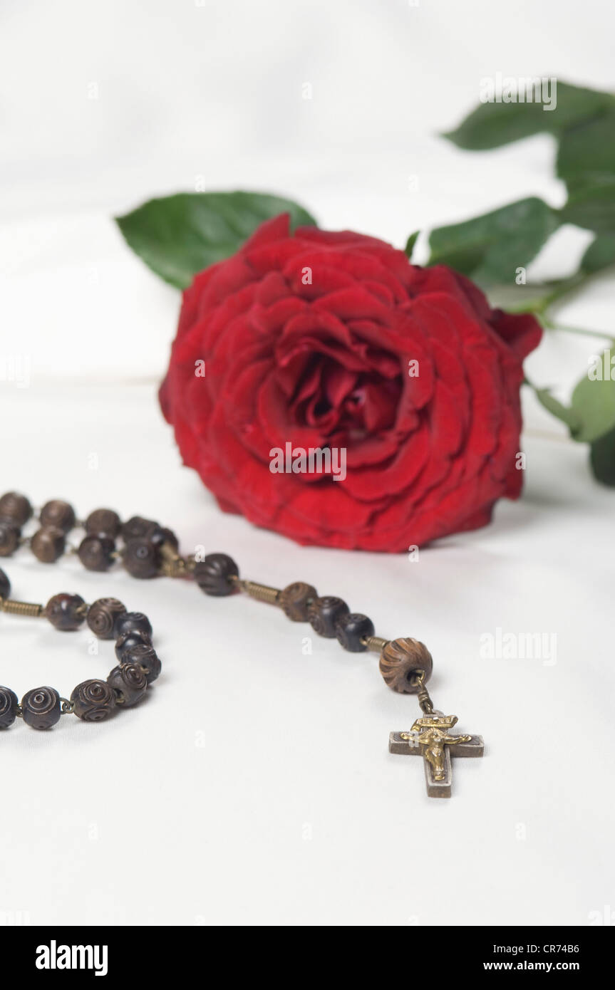 Rose rosary hi-res stock photography and images - Alamy