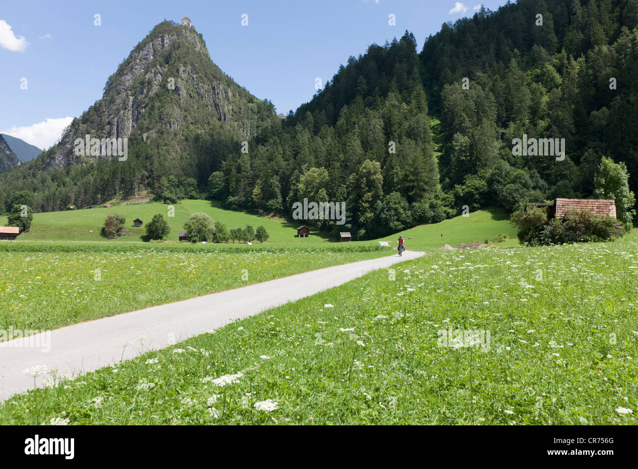 Austria, Landeck, Mature man cycling through single track Stock Photo