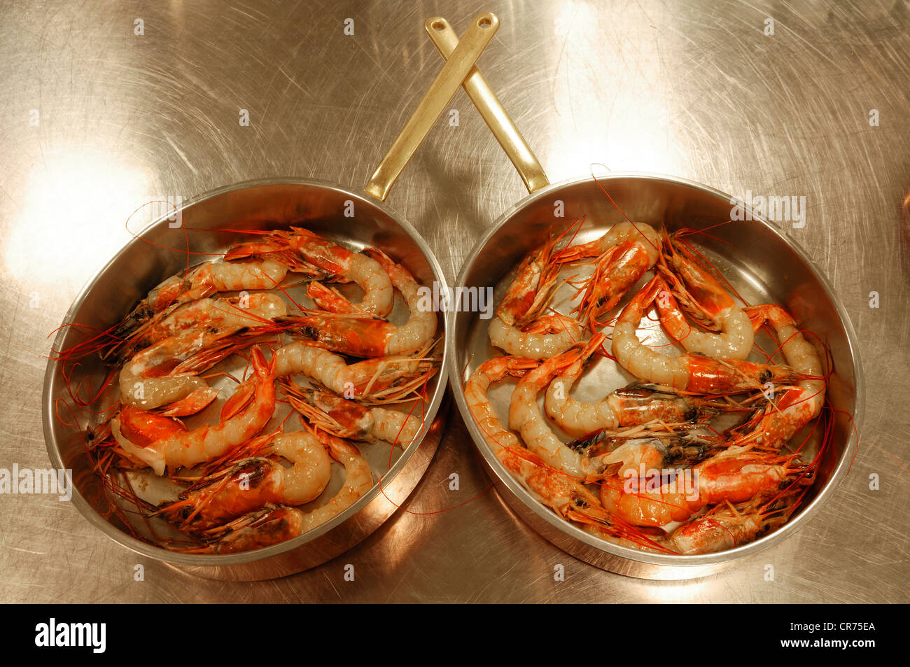 Freshly cooked shrimps (Caridina cf. cantonensis var. Crystal Red) in two stainless steel pans Stock Photo