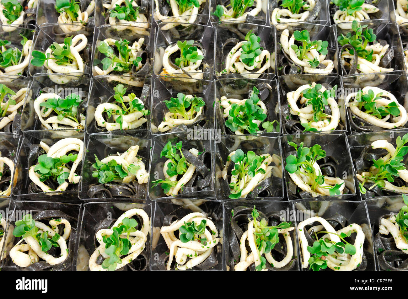 Ribbon noodles portion out, decorated with octopus ink and cress, finger food Stock Photo