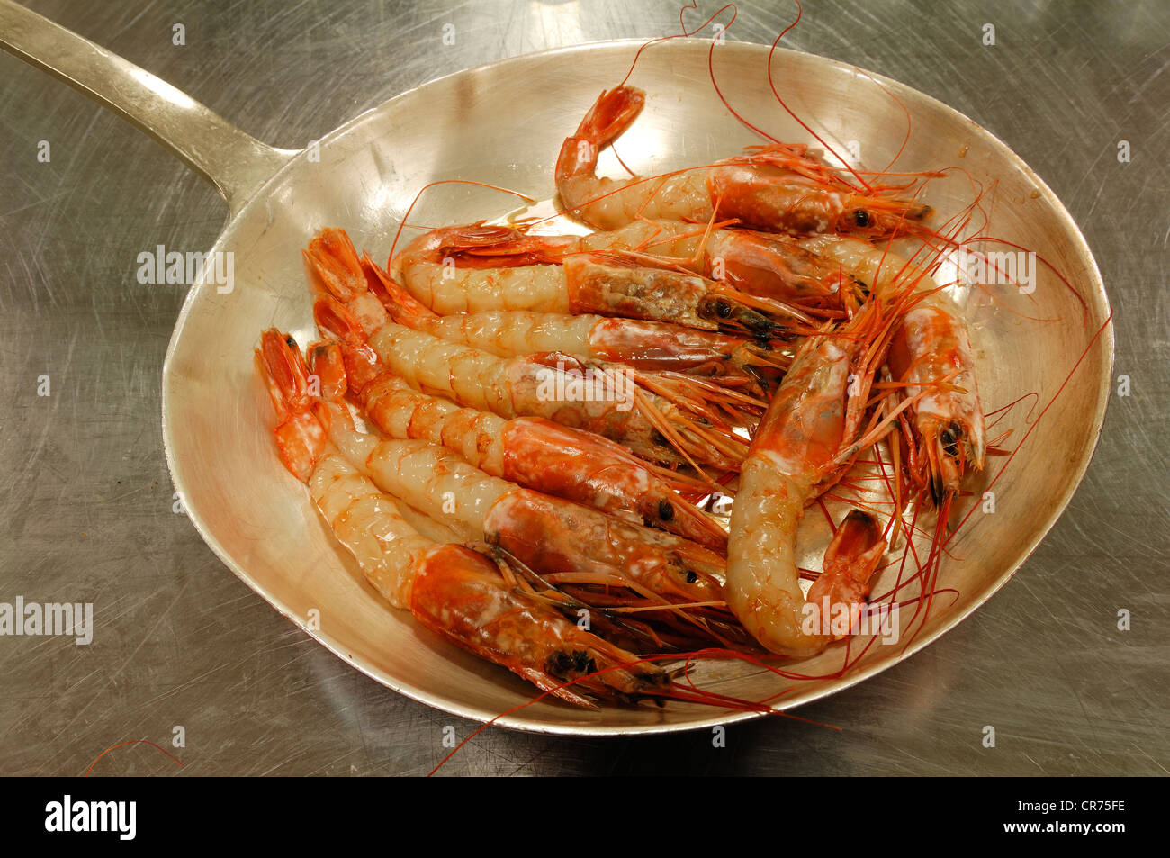 Freshly cooked shrimps (Caridina cf. cantonensis var. Crystal Red) in a stainless steel pan Stock Photo