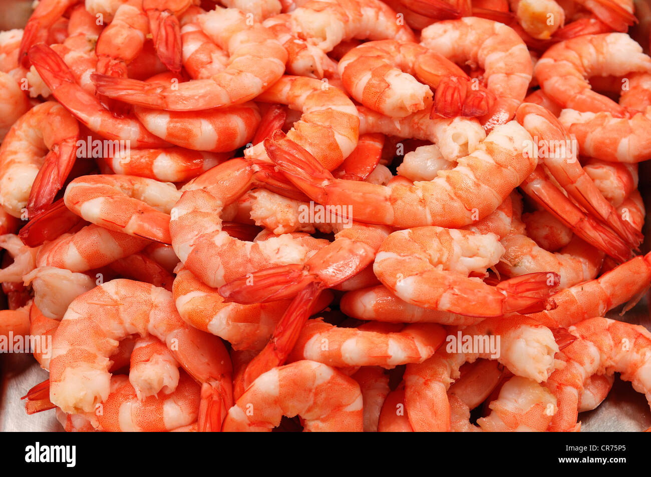 Freshly cooked crystal red shrimps (Caridina cf. cantonensis var. Crystal Red), food Stock Photo