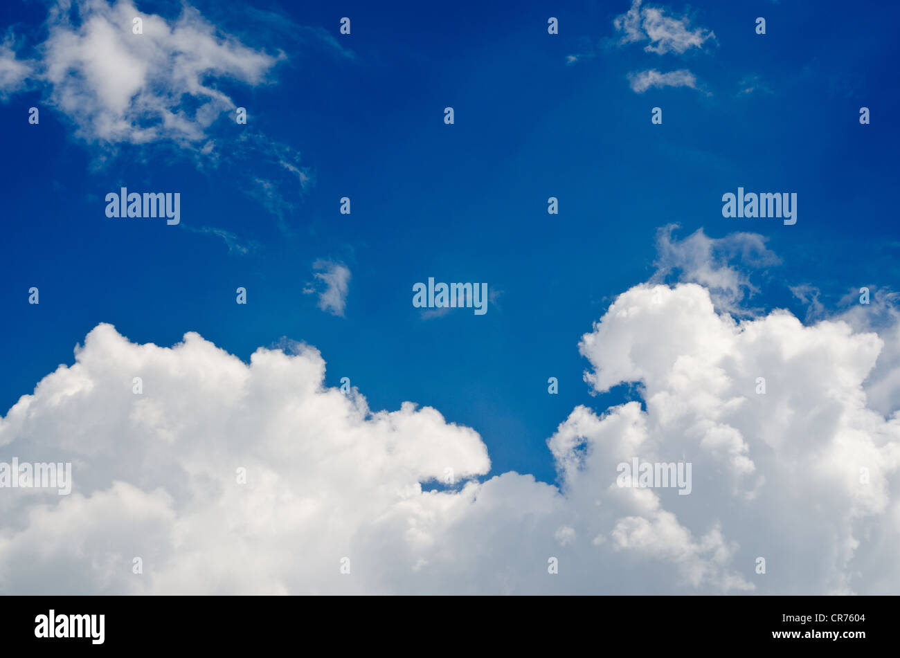 Brilliant White Cumulus Clouds on a Sky Blue Background Stock Photo - Alamy