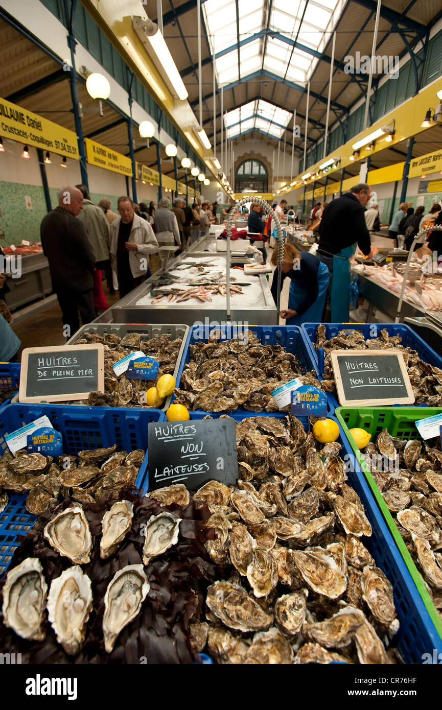 France, Morbihan, Gulf of Morbihan, Vannes, market of Vannes, fish